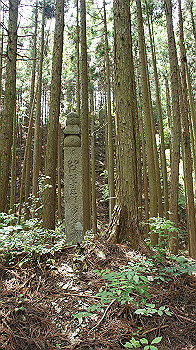 dsc00325_thumb.jpg