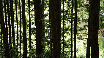 dsc00327_thumb.jpg