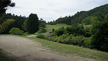 dsc00333_thumb.jpg
