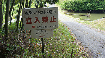 dsc00334_thumb.jpg