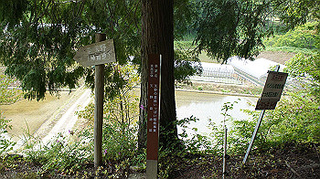dsc00335_thumb.jpg