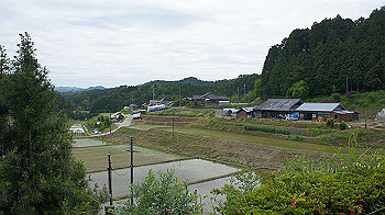 dsc00341_thumb.jpg