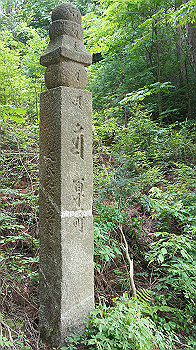 dsc00343_thumb.jpg