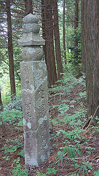dsc00345_thumb.jpg