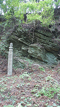 dsc00346_thumb.jpg