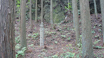 dsc00350_thumb.jpg