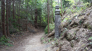 dsc00355_thumb.jpg
