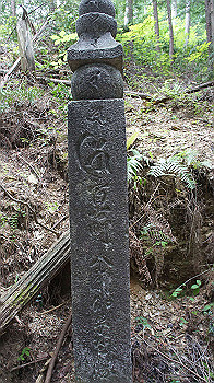 dsc00356_thumb.jpg