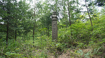 dsc00357_thumb.jpg