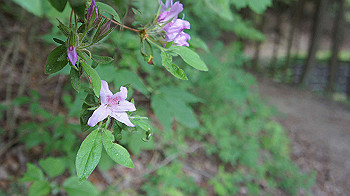 dsc00359_thumb.jpg