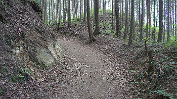 dsc00361_thumb.jpg
