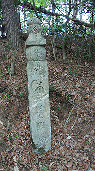 dsc00363_thumb.jpg