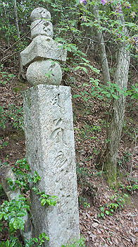 dsc00366_thumb.jpg