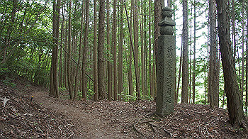 dsc00367_thumb.jpg