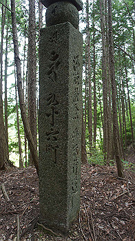 dsc00368_thumb.jpg