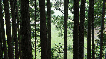 dsc00369_thumb.jpg