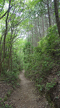 dsc00370_thumb.jpg