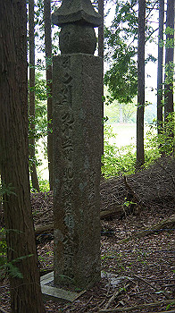 dsc00371_thumb.jpg