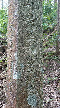 dsc00372_thumb.jpg