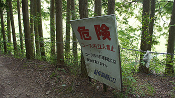 dsc00373_thumb.jpg