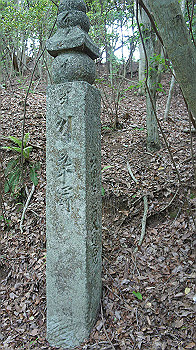 dsc00374_thumb.jpg