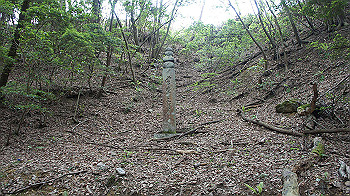 dsc00375_thumb.jpg
