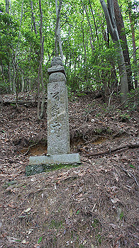 dsc00376_thumb.jpg