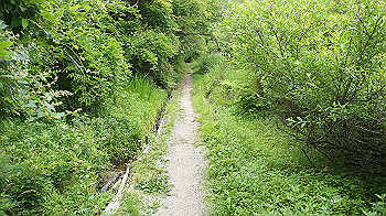 dsc00380_thumb.jpg