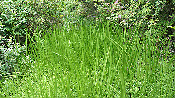 dsc00381_thumb.jpg