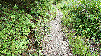 dsc00384_thumb.jpg