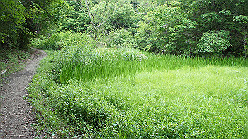 dsc00385_thumb.jpg