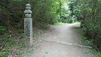 dsc00386_thumb.jpg