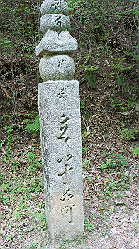 dsc00387_thumb.jpg