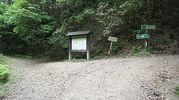 dsc00388_thumb.jpg