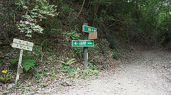 dsc00389_thumb.jpg