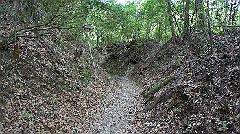 dsc00391_thumb.jpg