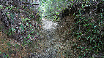 dsc00392_thumb.jpg