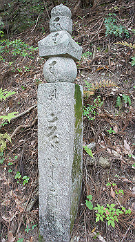 dsc00393_thumb.jpg