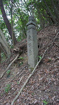 dsc00394_thumb.jpg