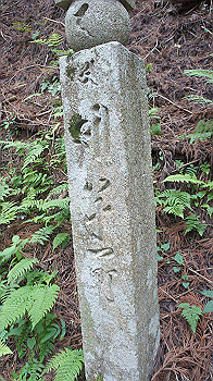 dsc00396_thumb.jpg