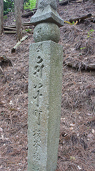 dsc00398_thumb.jpg