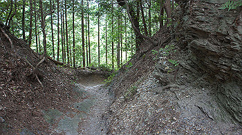 dsc00400_thumb.jpg