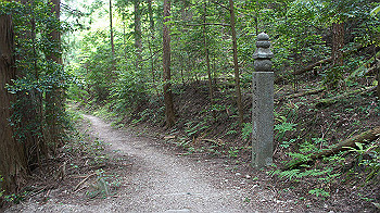 dsc00401_thumb.jpg