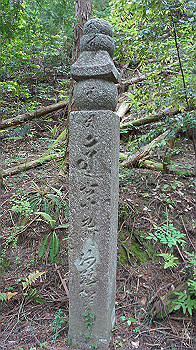 dsc00402_thumb.jpg