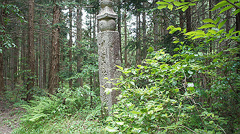 dsc00404_thumb.jpg