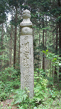 dsc00405_thumb.jpg