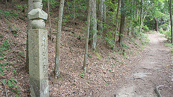 dsc00406_thumb.jpg