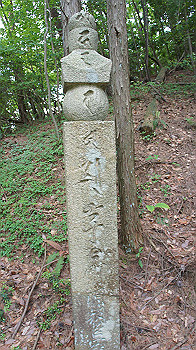 dsc00407_thumb.jpg