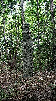 dsc00408_thumb.jpg
