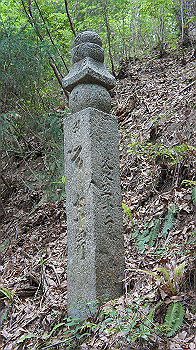 dsc00413_thumb.jpg